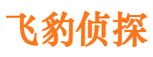 眉山外遇出轨调查取证